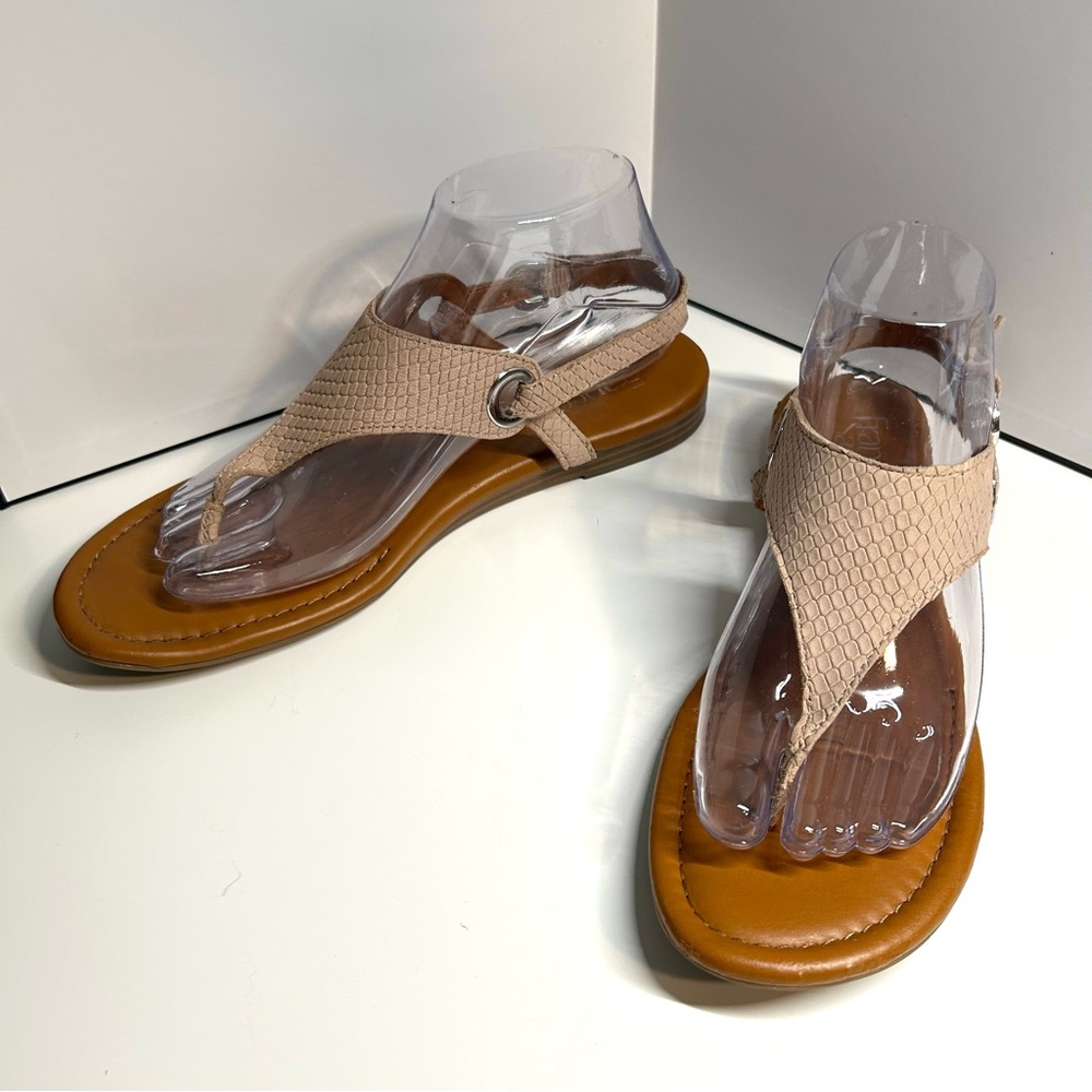 Franco Sarto Women's Rose Goldy Thong Flat Sandals in‎ Size 8.5